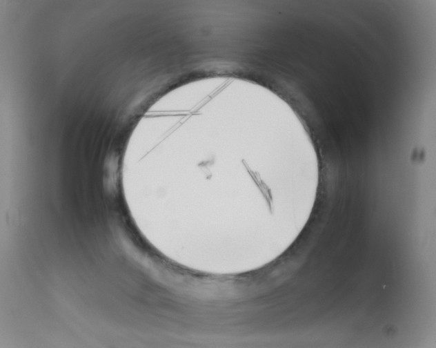 X0000111850024200909031738