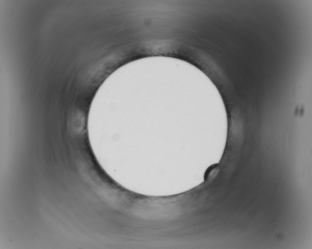 X0000111850025200909031738