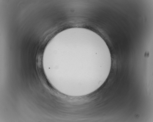 X0000111850026200909031738