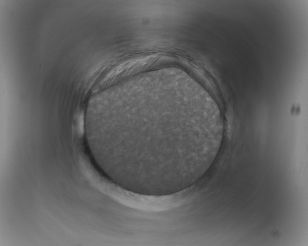 X0000111850027200909031738