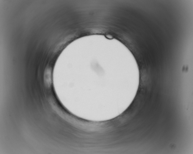 X0000111850028200909031738