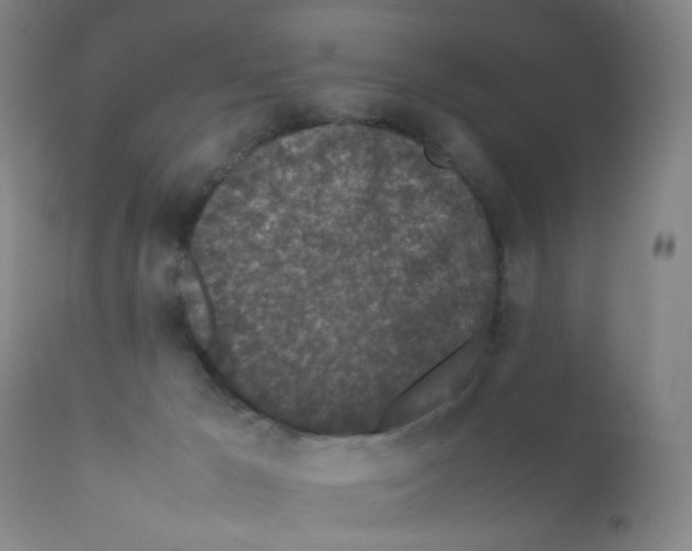 X0000111850029200909031738
