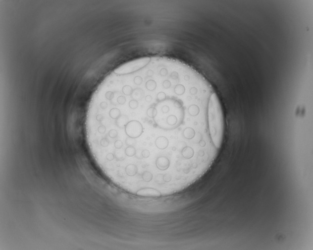 X0000111850030200909031738