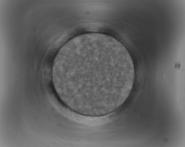 X0000111850031200909031738