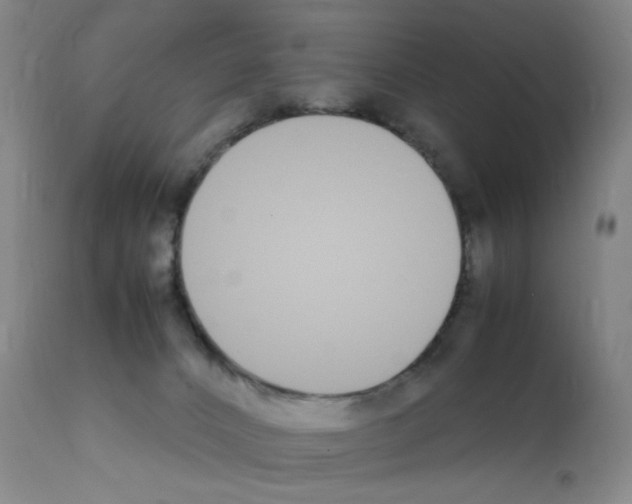 X0000111850032200909031738