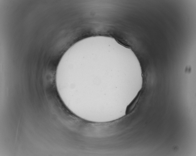 X0000111850033200909031738
