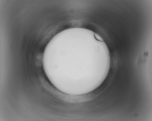 X0000111850034200909031738