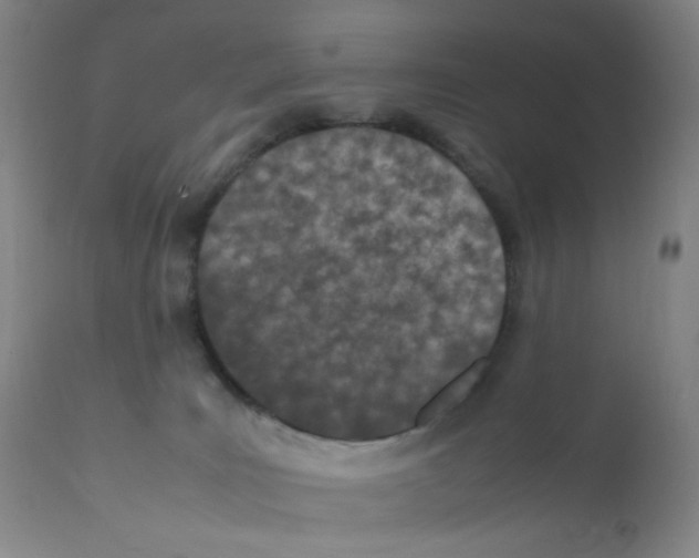 X0000111850035200909031737