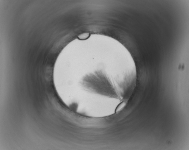 X0000111850036200909031737