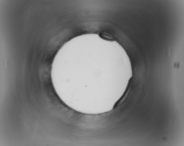 X0000111850037200909031737