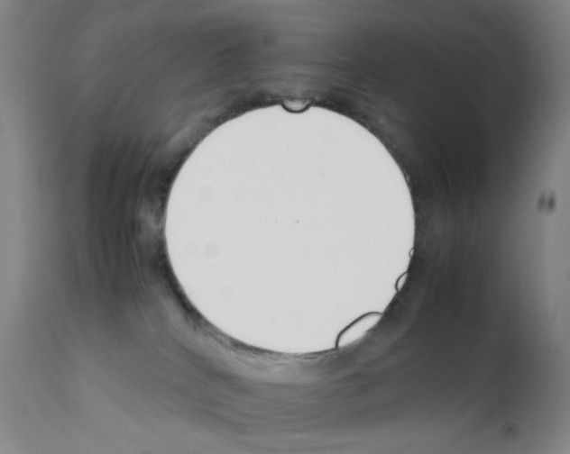 X0000111850040200909031737