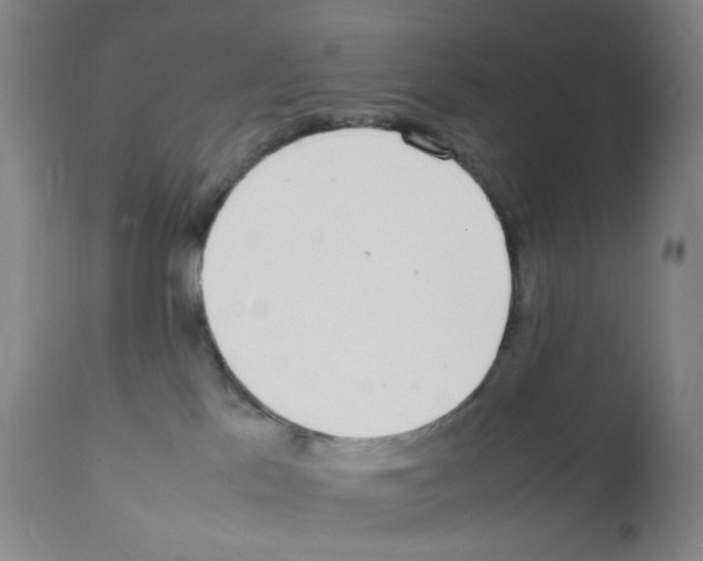 X0000111850041200909031737