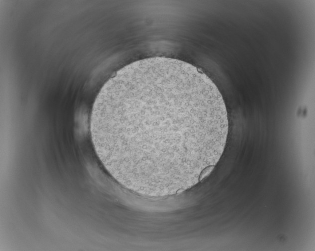 X0000111850042200909031737
