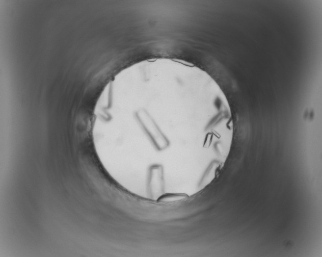 X0000111850043200909031737