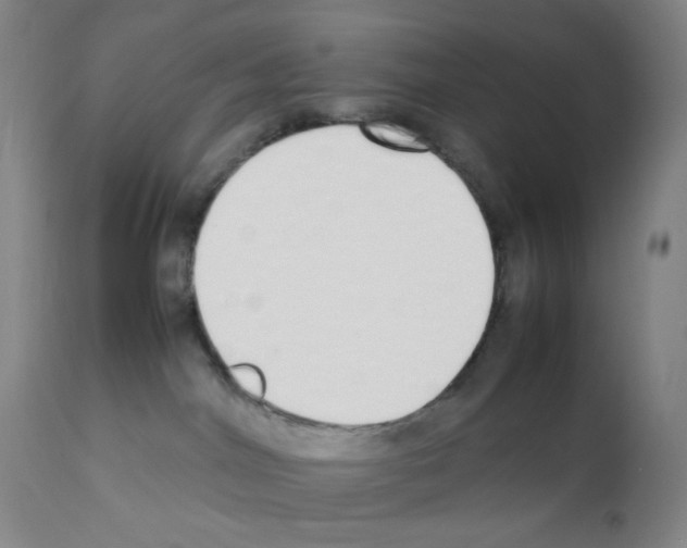 X0000111850044200909031737