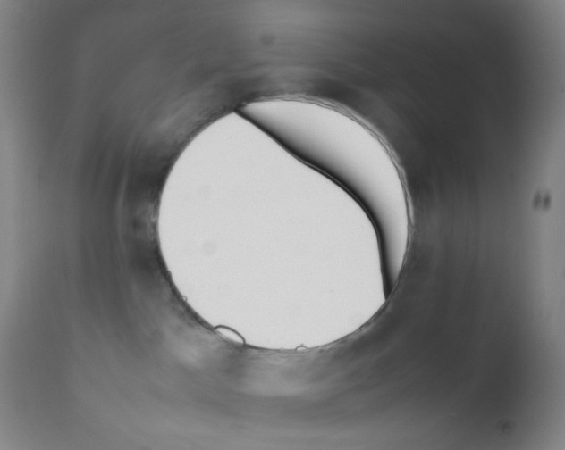X0000111850045200909031737
