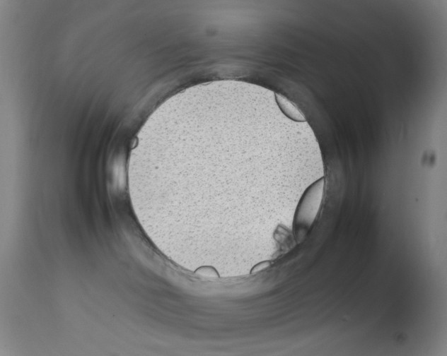 X0000111850046200909031737