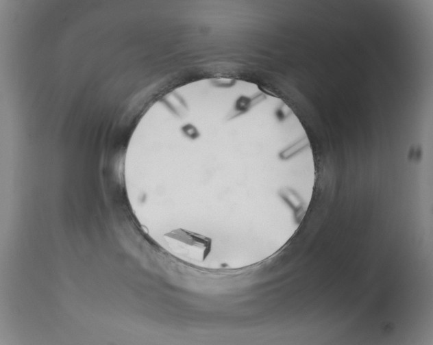 X0000111850047200909031737