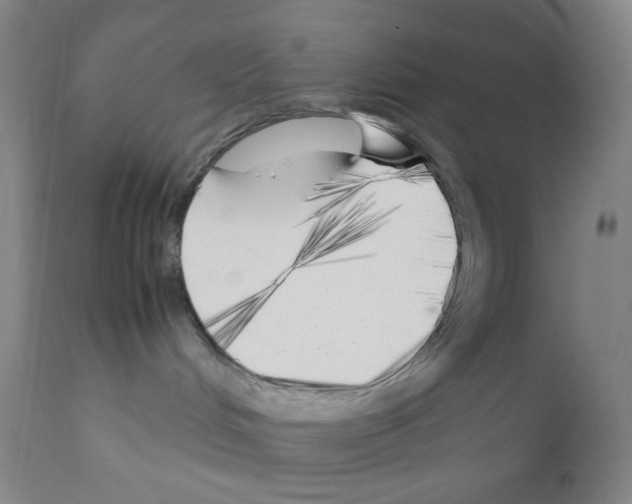 X0000111850048200909031737