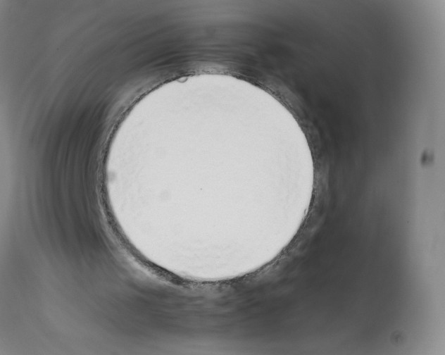X0000111850049200909031737