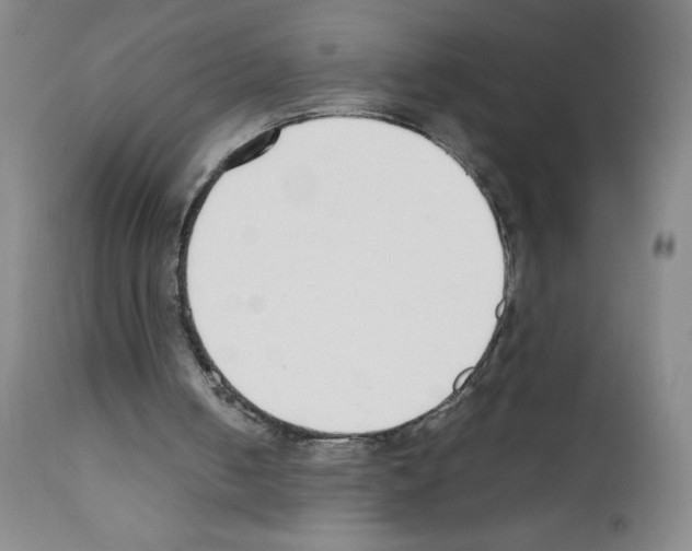 X0000111850050200909031737