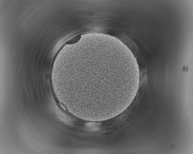 X0000111850051200909031737