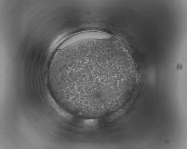 X0000111850053200909031737
