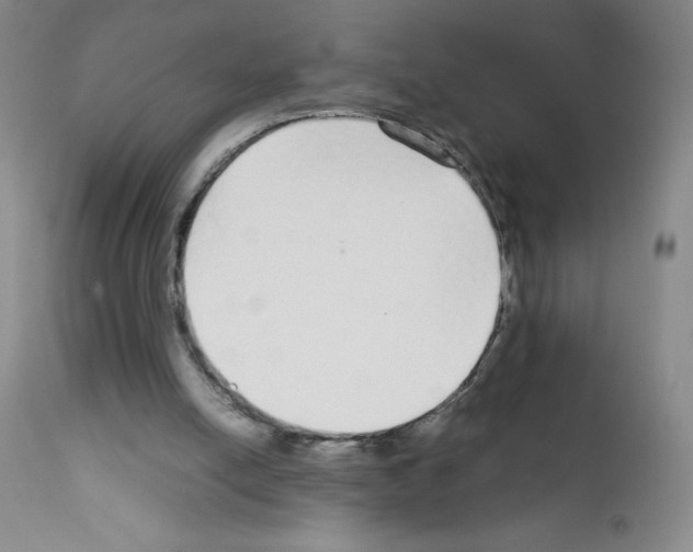 X0000111850054200909031737