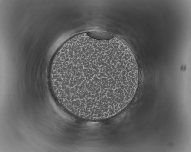 X0000111850055200909031737