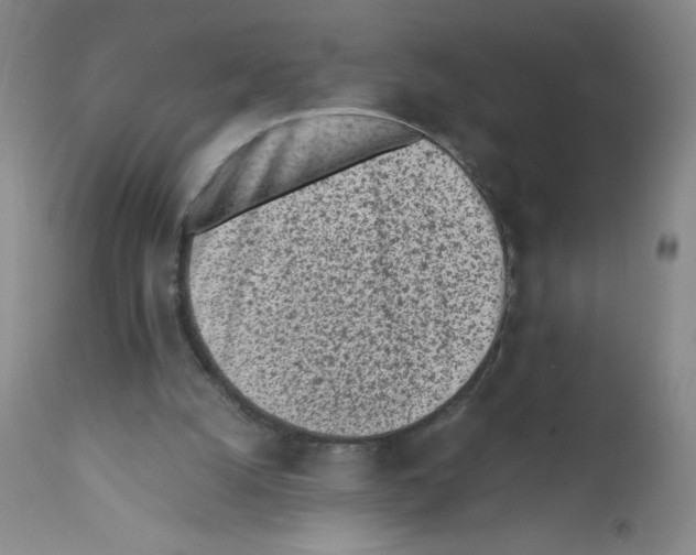 X0000111850056200909031737