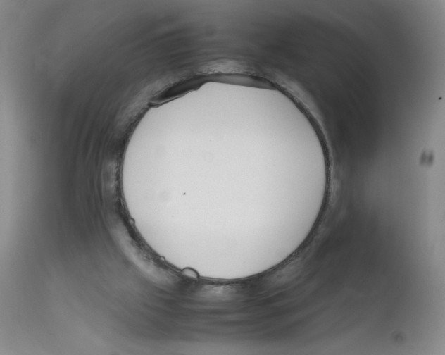 X0000111850057200909031737