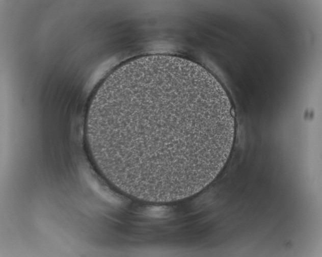 X0000111850059200909031737
