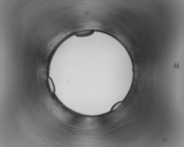 X0000111850060200909031737
