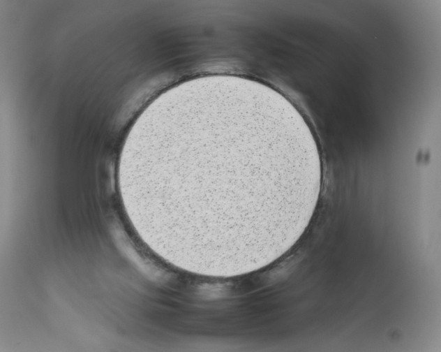 X0000111850061200909031737