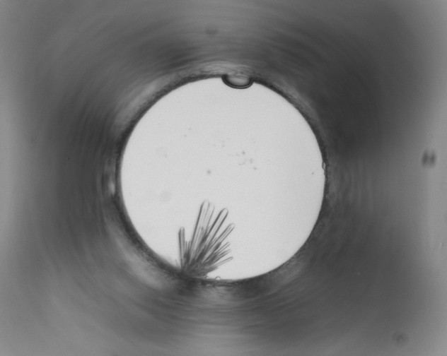 X0000111850062200909031737