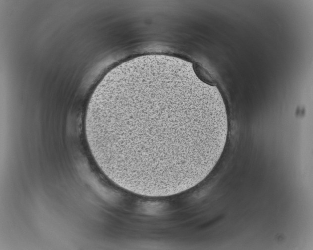 X0000111850063200909031737
