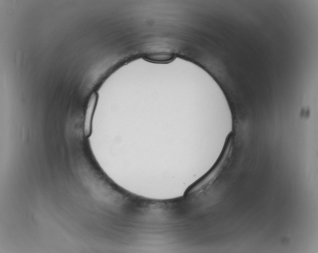 X0000111850064200909031737