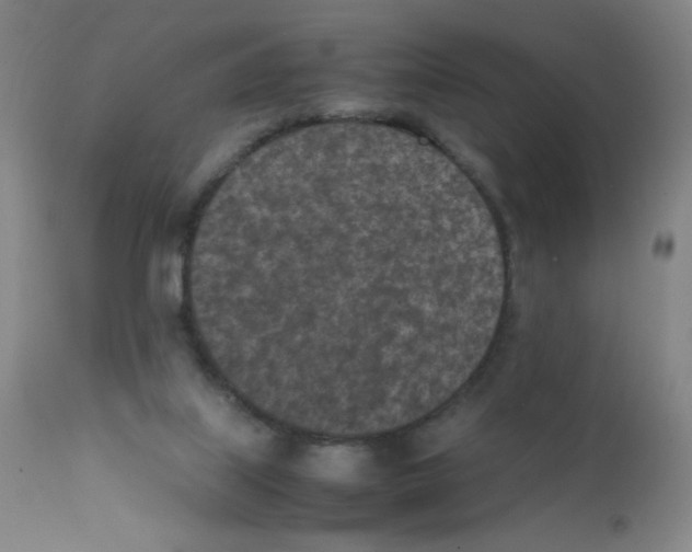 X0000111850067200909031737