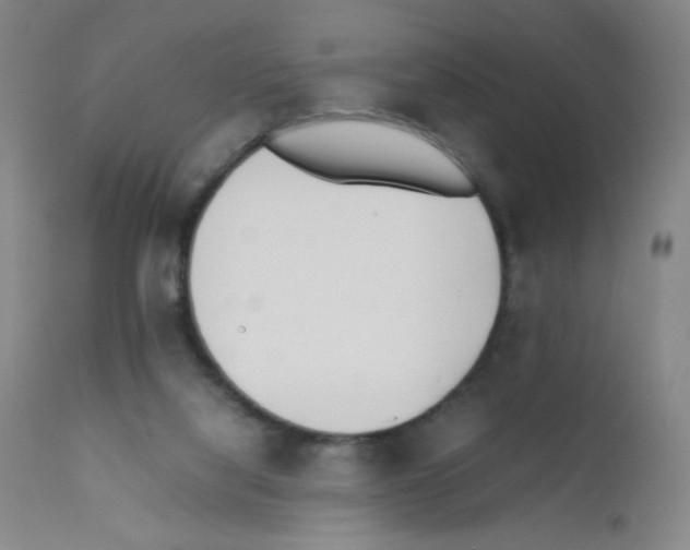 X0000111850068200909031737