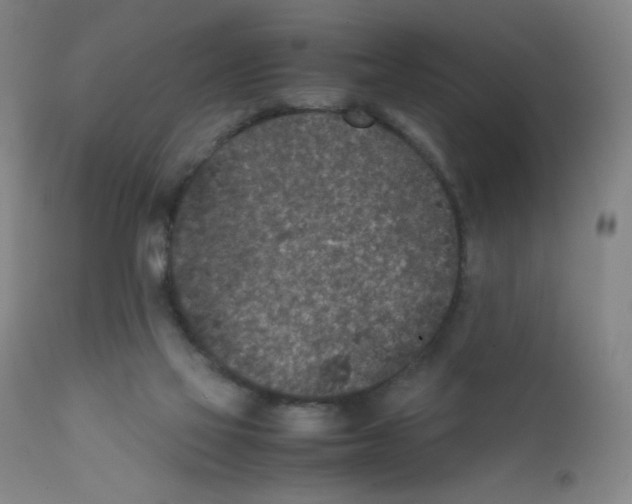 X0000111850069200909031737