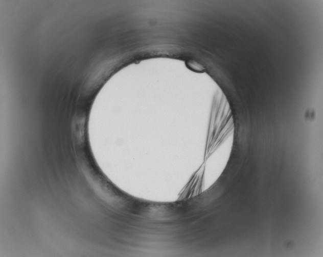 X0000111850070200909031737