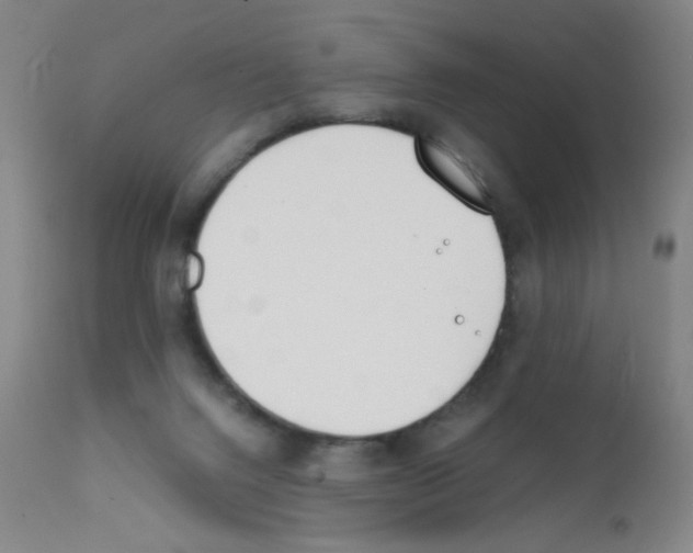 X0000111850072200909031737