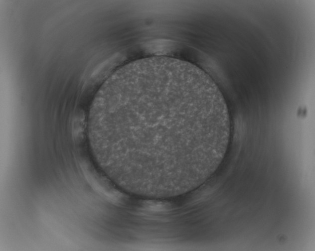 X0000111850073200909031737