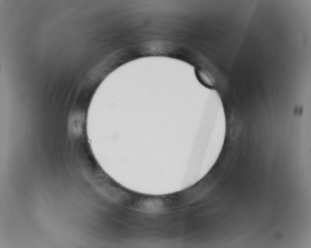 X0000111850075200909031737