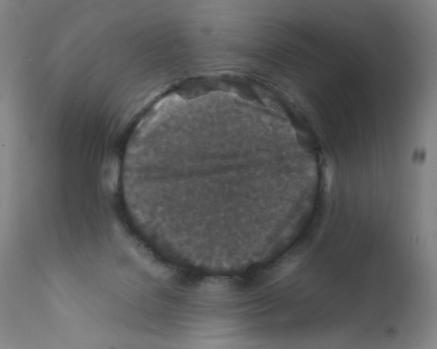 X0000111850076200909031737
