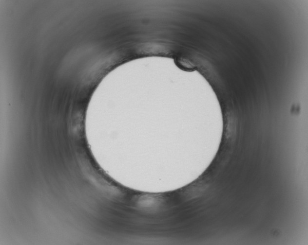X0000111850077200909031737