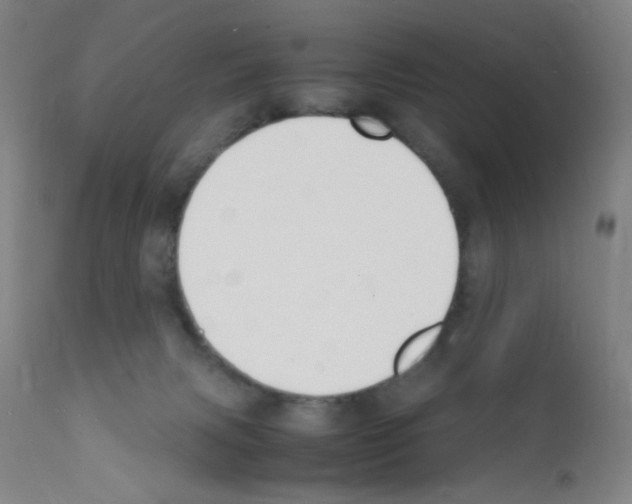 X0000111850079200909031737