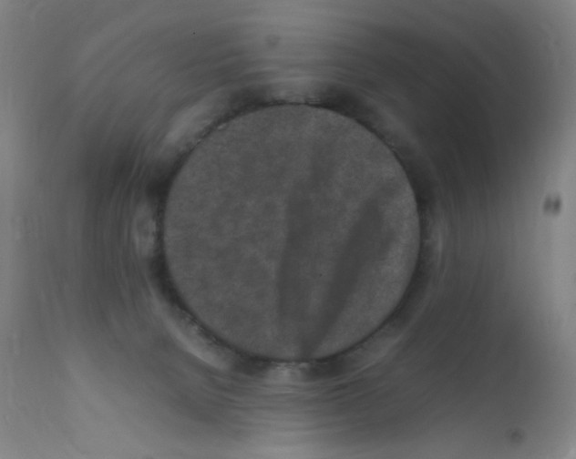 X0000111850080200909031737