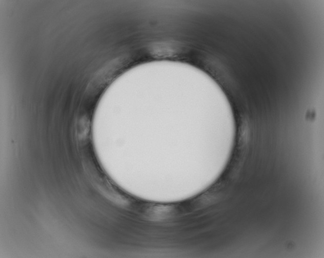 X0000111850081200909031737