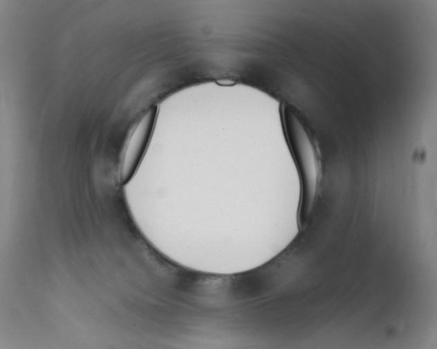 X0000111850084200909031737